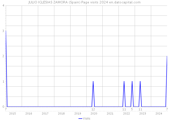 JULIO IGLESIAS ZAMORA (Spain) Page visits 2024 