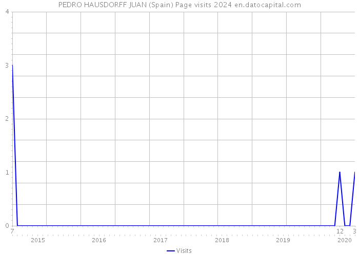 PEDRO HAUSDORFF JUAN (Spain) Page visits 2024 