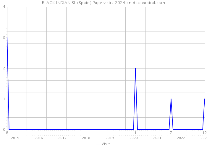 BLACK INDIAN SL (Spain) Page visits 2024 