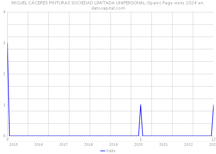 MIGUEL CÁCERES PINTURAS SOCIEDAD LIMITADA UNIPERSONAL (Spain) Page visits 2024 