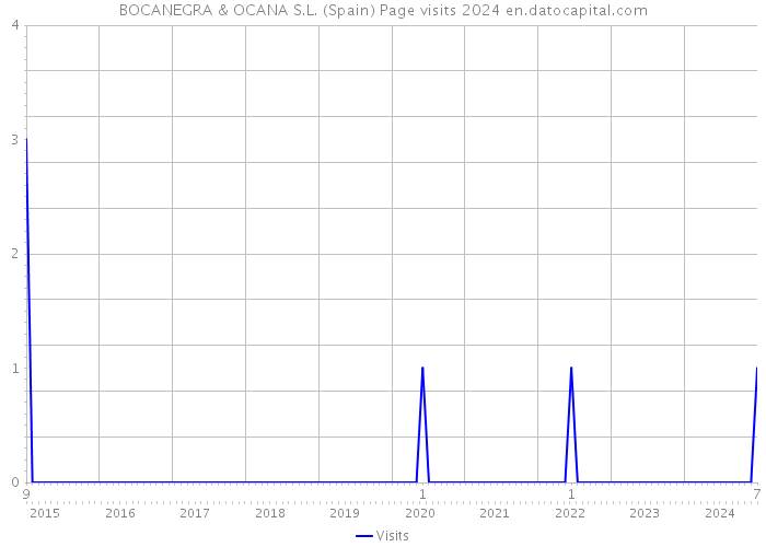 BOCANEGRA & OCANA S.L. (Spain) Page visits 2024 