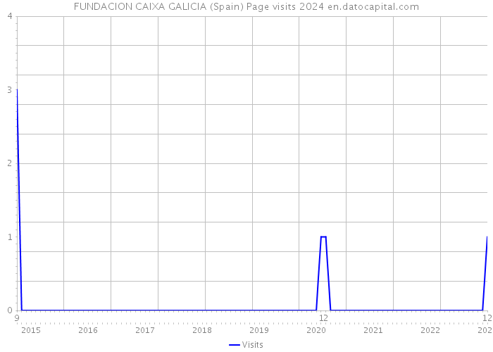 FUNDACION CAIXA GALICIA (Spain) Page visits 2024 