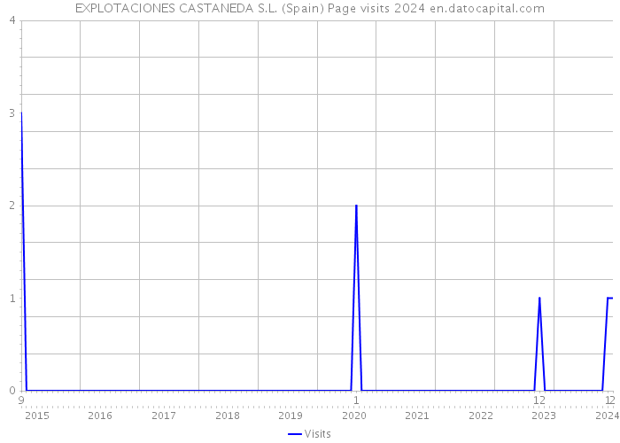 EXPLOTACIONES CASTANEDA S.L. (Spain) Page visits 2024 