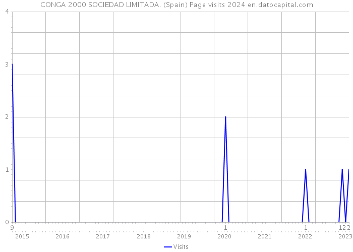 CONGA 2000 SOCIEDAD LIMITADA. (Spain) Page visits 2024 