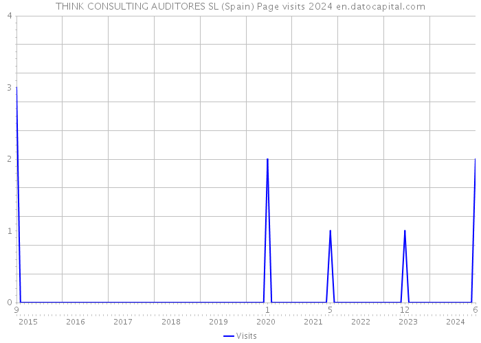 THINK CONSULTING AUDITORES SL (Spain) Page visits 2024 