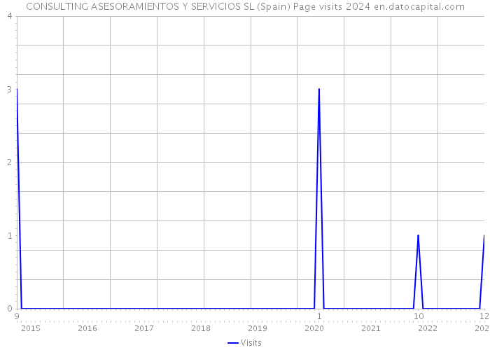 CONSULTING ASESORAMIENTOS Y SERVICIOS SL (Spain) Page visits 2024 