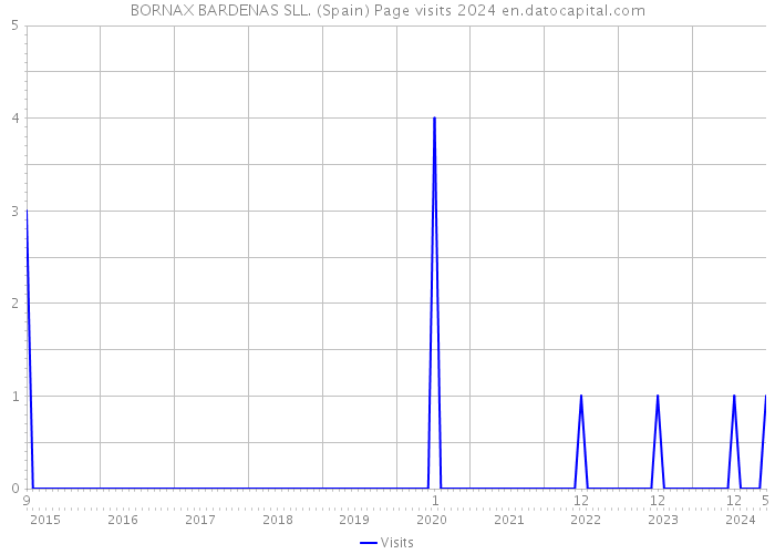 BORNAX BARDENAS SLL. (Spain) Page visits 2024 