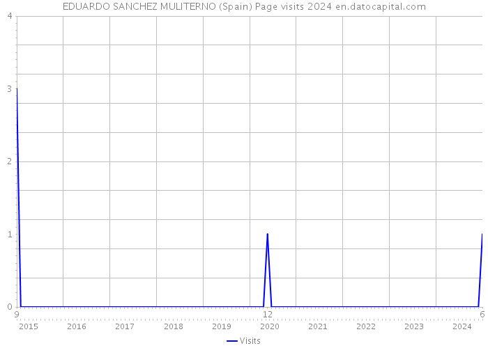 EDUARDO SANCHEZ MULITERNO (Spain) Page visits 2024 