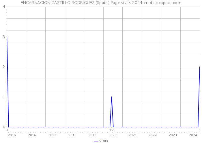 ENCARNACION CASTILLO RODRIGUEZ (Spain) Page visits 2024 