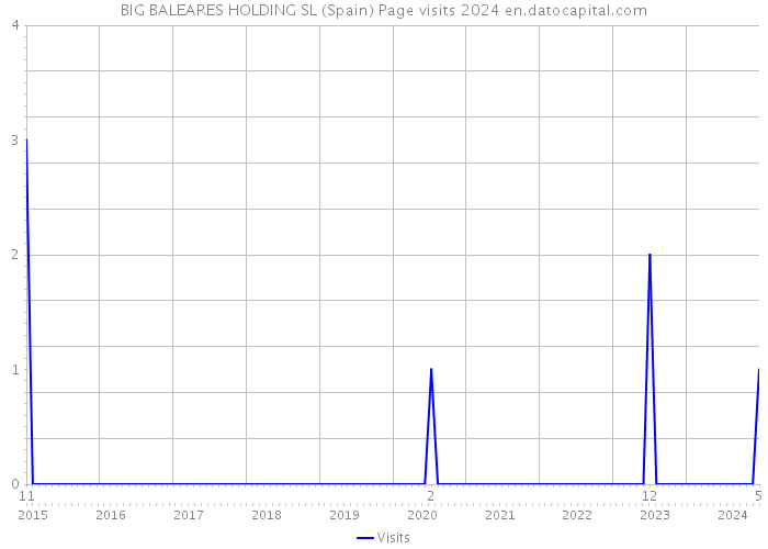 BIG BALEARES HOLDING SL (Spain) Page visits 2024 