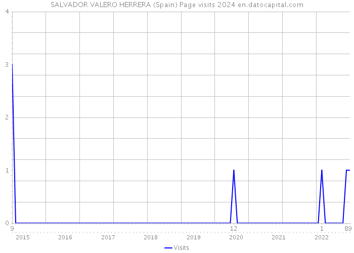 SALVADOR VALERO HERRERA (Spain) Page visits 2024 