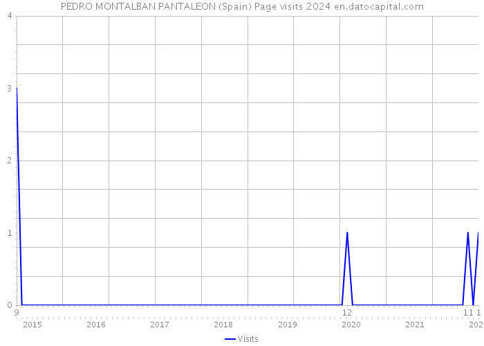 PEDRO MONTALBAN PANTALEON (Spain) Page visits 2024 