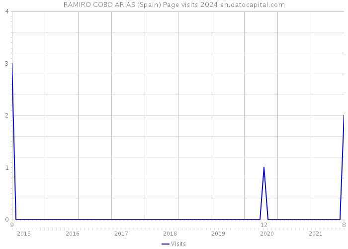 RAMIRO COBO ARIAS (Spain) Page visits 2024 