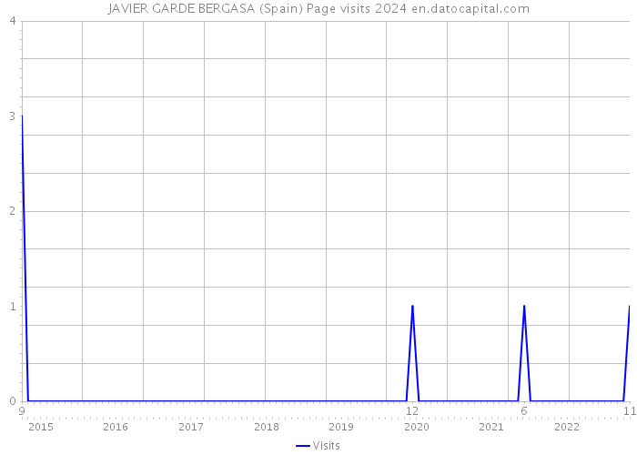 JAVIER GARDE BERGASA (Spain) Page visits 2024 