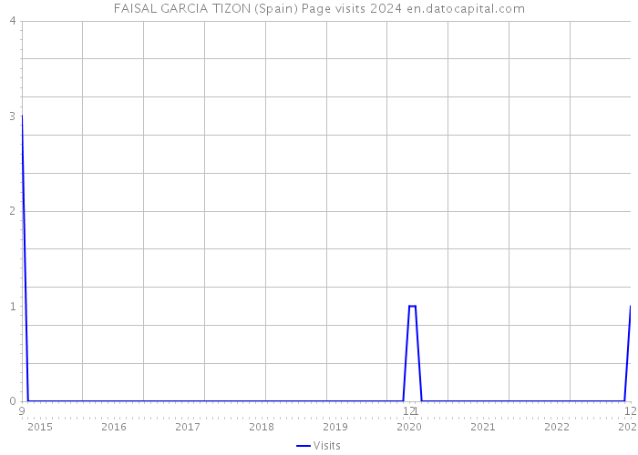 FAISAL GARCIA TIZON (Spain) Page visits 2024 
