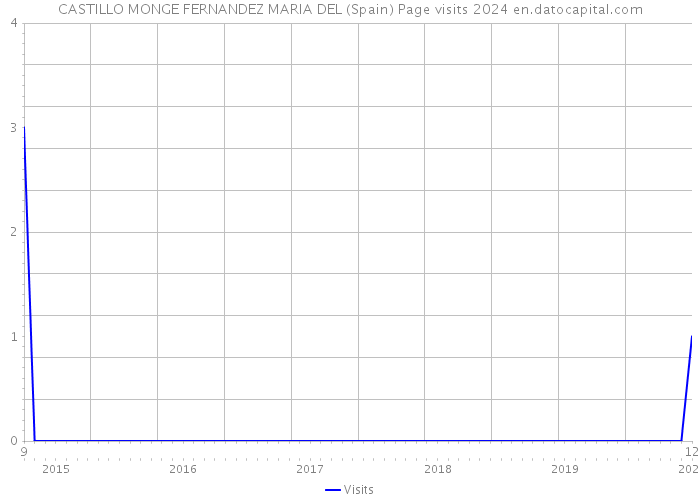 CASTILLO MONGE FERNANDEZ MARIA DEL (Spain) Page visits 2024 