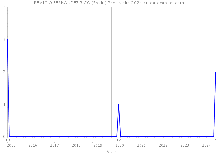 REMIGIO FERNANDEZ RICO (Spain) Page visits 2024 