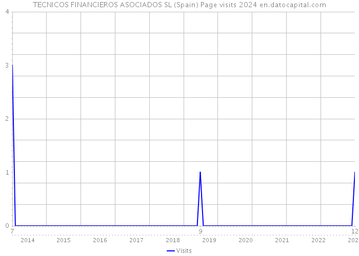 TECNICOS FINANCIEROS ASOCIADOS SL (Spain) Page visits 2024 