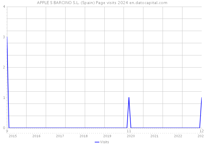 APPLE S BARCINO S.L. (Spain) Page visits 2024 