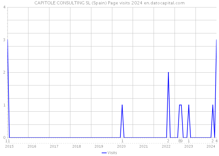 CAPITOLE CONSULTING SL (Spain) Page visits 2024 