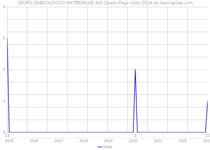 GRUPO GINECOLOGICO MATERSALUD SLP (Spain) Page visits 2024 