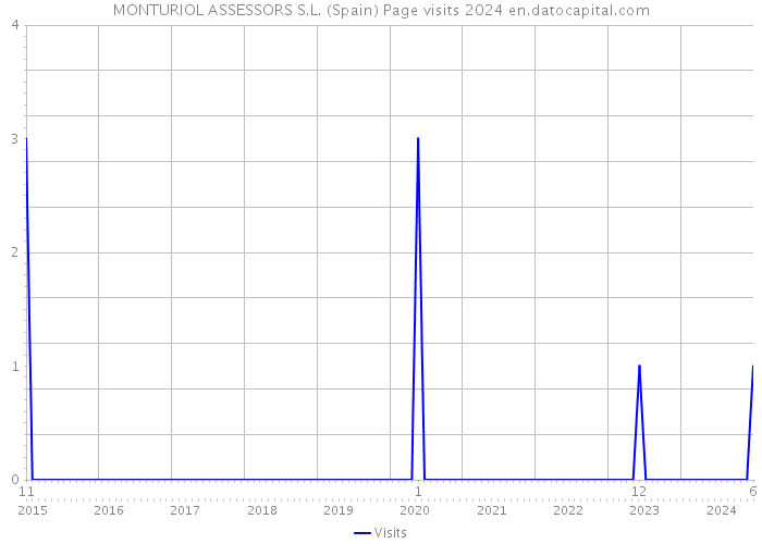 MONTURIOL ASSESSORS S.L. (Spain) Page visits 2024 