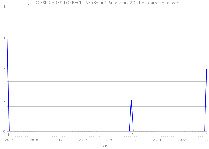 JULIO ESPIGARES TORRECILLAS (Spain) Page visits 2024 