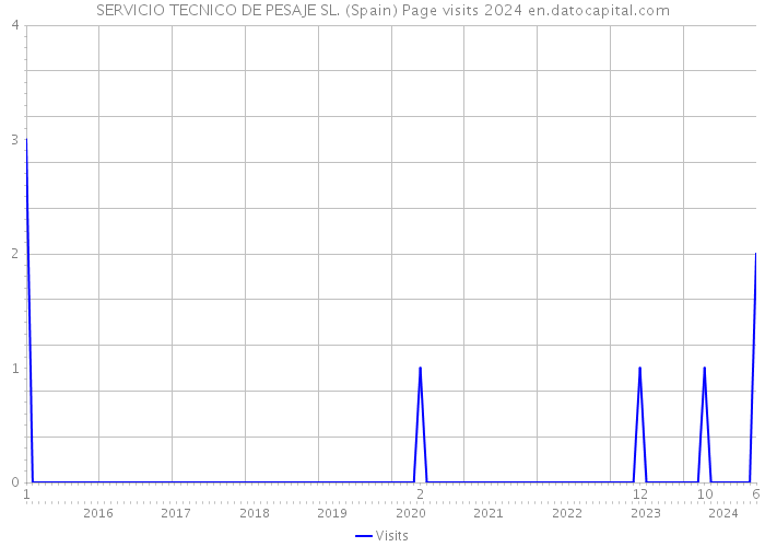 SERVICIO TECNICO DE PESAJE SL. (Spain) Page visits 2024 