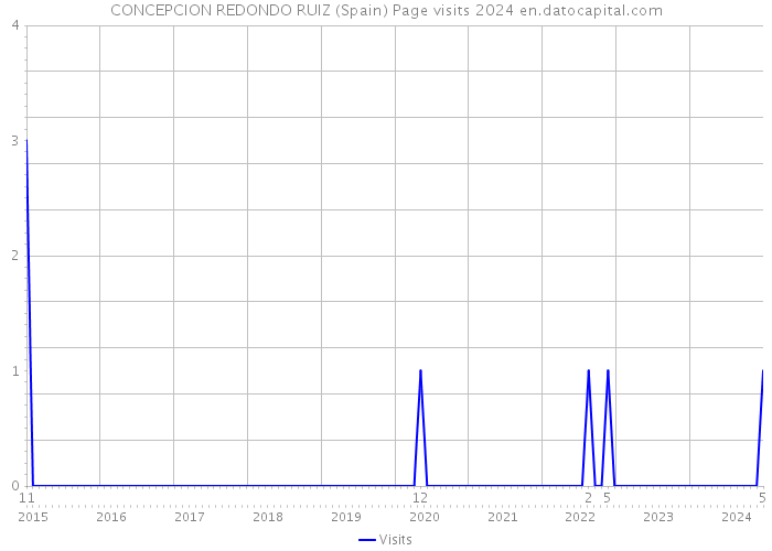 CONCEPCION REDONDO RUIZ (Spain) Page visits 2024 