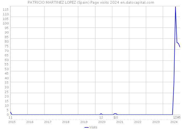 PATRICIO MARTINEZ LOPEZ (Spain) Page visits 2024 