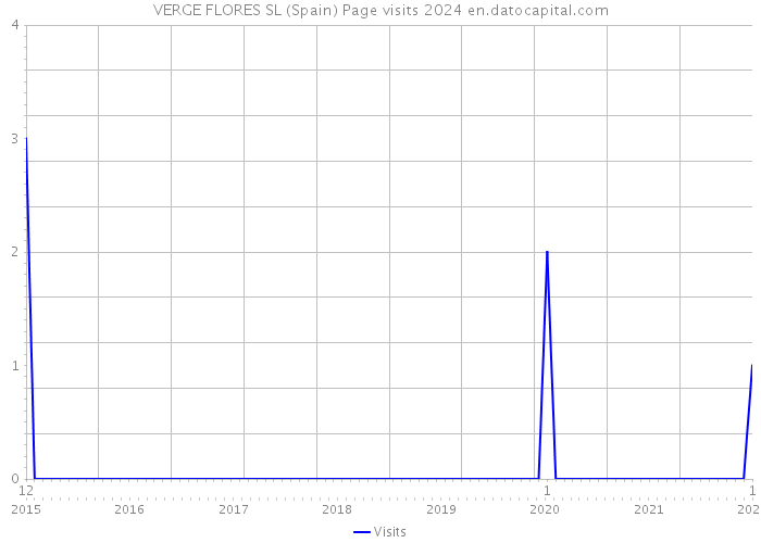 VERGE FLORES SL (Spain) Page visits 2024 
