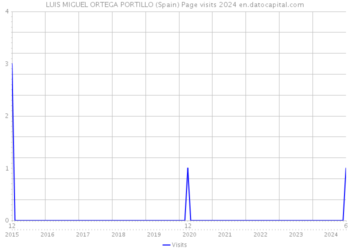 LUIS MIGUEL ORTEGA PORTILLO (Spain) Page visits 2024 