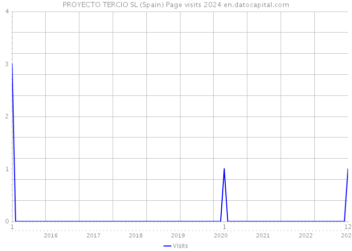 PROYECTO TERCIO SL (Spain) Page visits 2024 