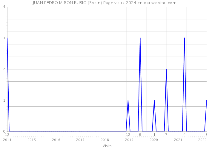 JUAN PEDRO MIRON RUBIO (Spain) Page visits 2024 