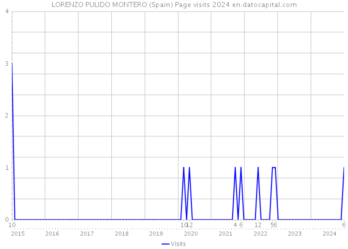 LORENZO PULIDO MONTERO (Spain) Page visits 2024 