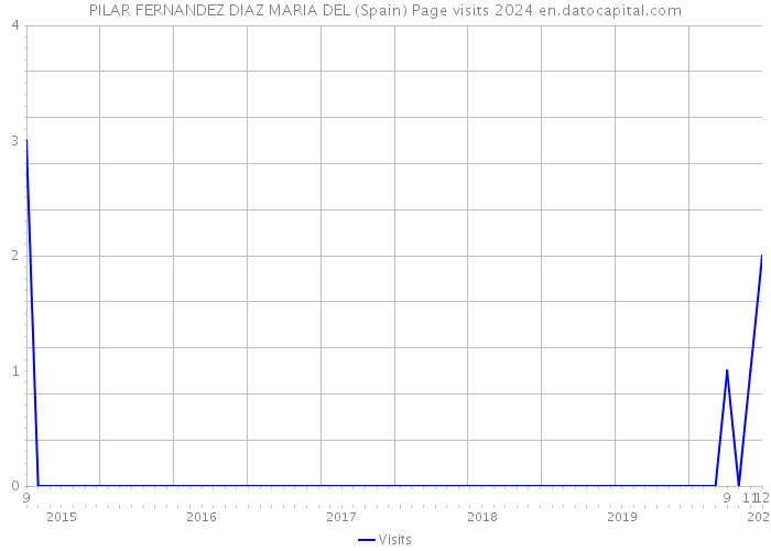 PILAR FERNANDEZ DIAZ MARIA DEL (Spain) Page visits 2024 
