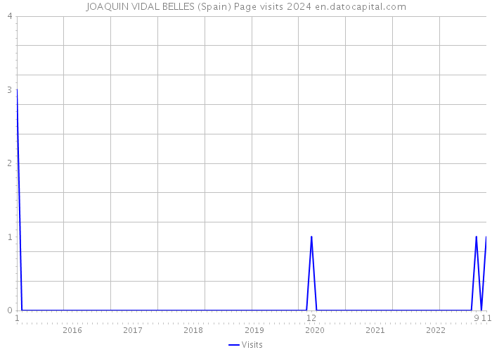 JOAQUIN VIDAL BELLES (Spain) Page visits 2024 