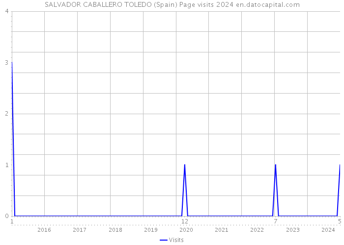 SALVADOR CABALLERO TOLEDO (Spain) Page visits 2024 