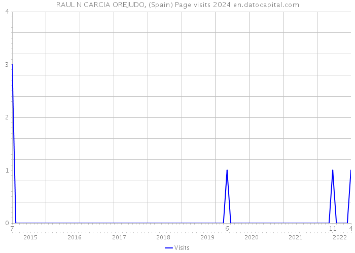 RAUL N GARCIA OREJUDO, (Spain) Page visits 2024 
