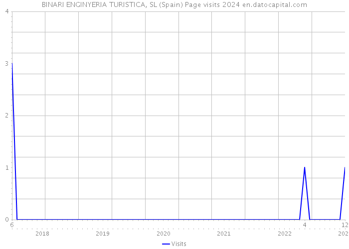 BINARI ENGINYERIA TURISTICA, SL (Spain) Page visits 2024 