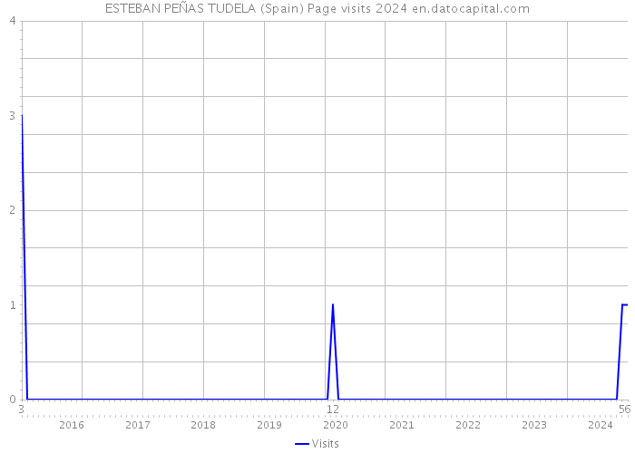 ESTEBAN PEÑAS TUDELA (Spain) Page visits 2024 