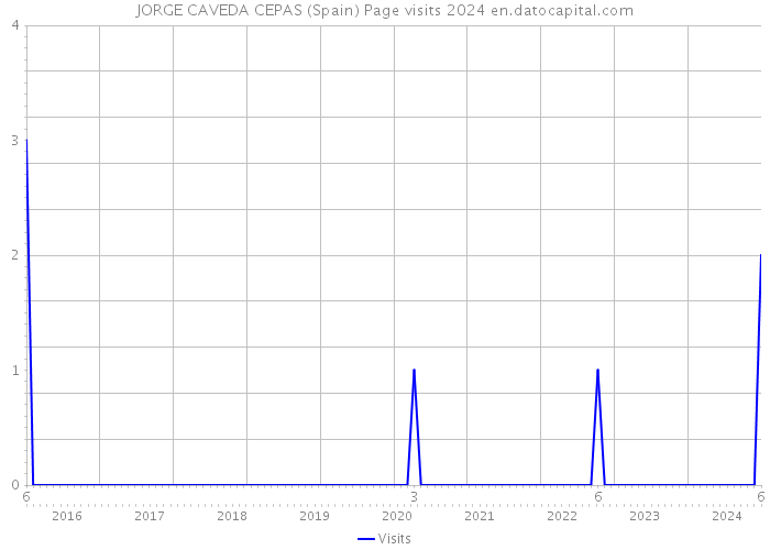 JORGE CAVEDA CEPAS (Spain) Page visits 2024 