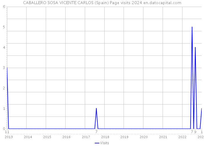 CABALLERO SOSA VICENTE CARLOS (Spain) Page visits 2024 