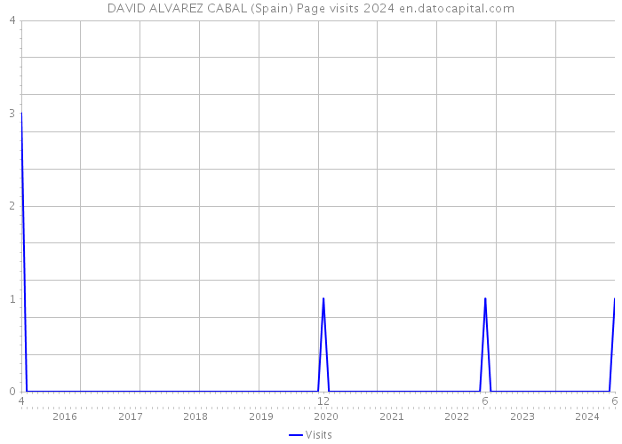 DAVID ALVAREZ CABAL (Spain) Page visits 2024 