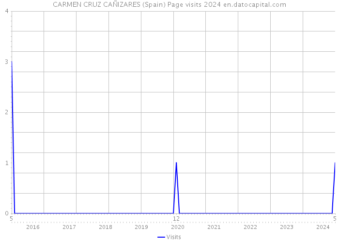 CARMEN CRUZ CAÑIZARES (Spain) Page visits 2024 