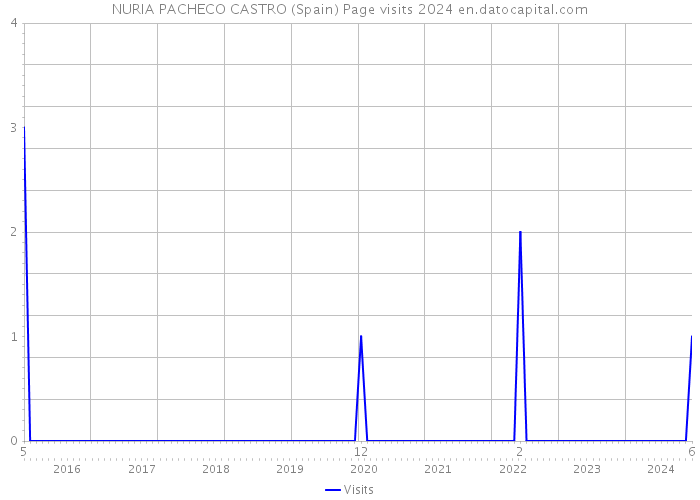 NURIA PACHECO CASTRO (Spain) Page visits 2024 