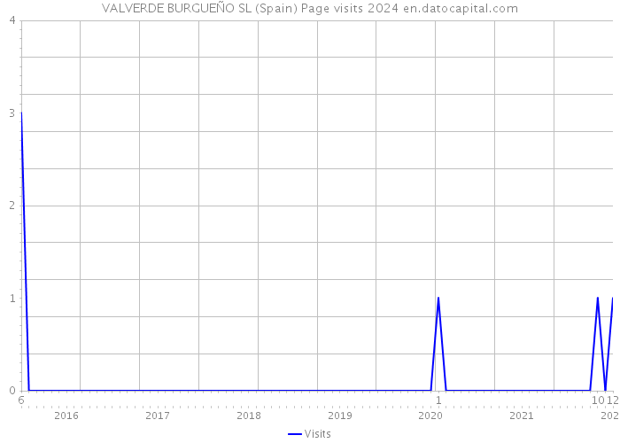 VALVERDE BURGUEÑO SL (Spain) Page visits 2024 