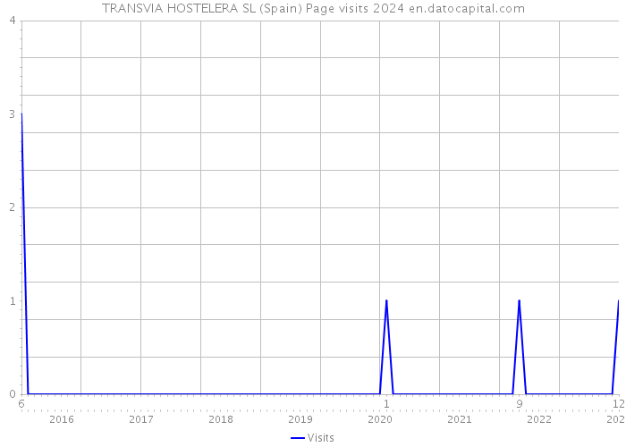 TRANSVIA HOSTELERA SL (Spain) Page visits 2024 