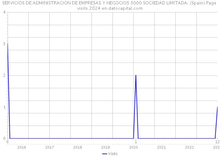 SERVICIOS DE ADMINISTRACION DE EMPRESAS Y NEGOCIOS 3000 SOCIEDAD LIMITADA. (Spain) Page visits 2024 