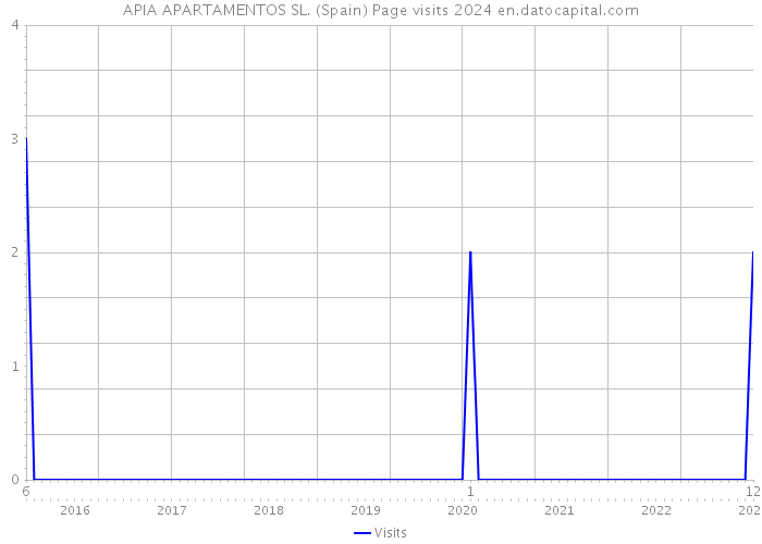 APIA APARTAMENTOS SL. (Spain) Page visits 2024 